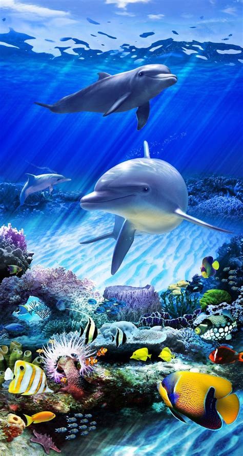 Wallpaper iPhone ⚪️ | Beautiful sea creatures, Ocean animals, Sea animals