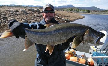 In the summer months you can rent boats, kayaks, fishing equipment, rafts and experienced fishing and whitewater rafting guides to enjoy grand lake and the. Kokanee population of Lake Granby takes a dive | SkyHiNews.com
