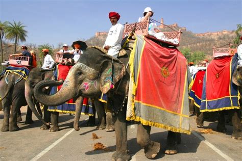 Świątynne Słonie