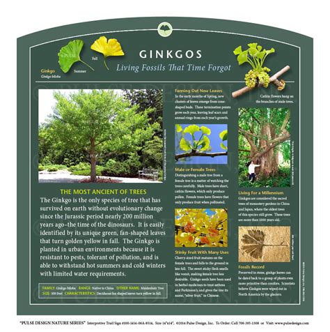 Outdoor Interpretive Signs Tree And Leaf Identification Guides Parts Of