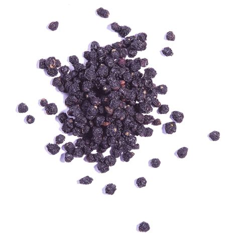 Dried Elderberry Sambucus Nigra Ekowarehouse