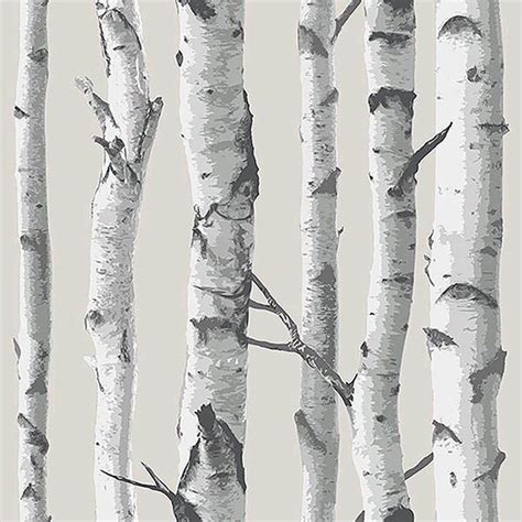 Birch Tree Peel And Stick Wallpaper By Nuwallpaper