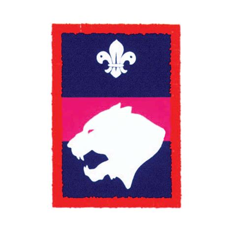 Scouts Tiger Patrol Badge Project X Adventures