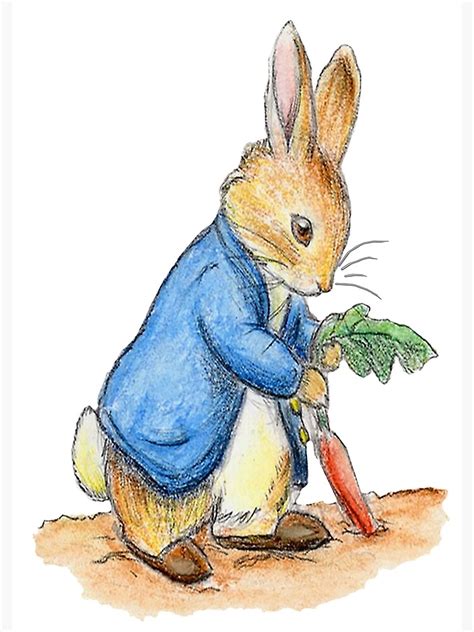 See more ideas about peter rabbit nursery, peter rabbit, rabbit nursery. "Nursery Characters, Peter Rabbit, Beatrix Potter." Poster ...