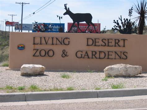 Living Desert Zoo And Gardens State Park Carlsbad 2021 All You Need