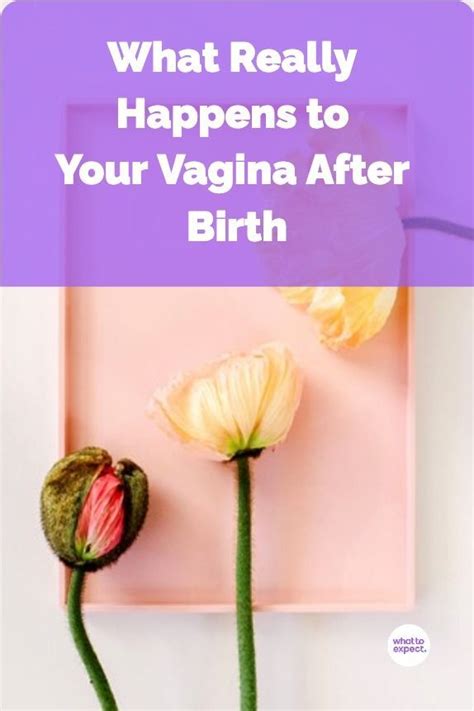 What Really Happens To Your Vagina After Birth Artofit