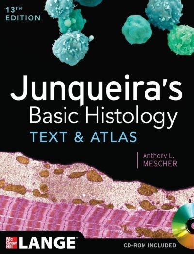 Junqueiras Basic Histology Text And Atlas 13th Edition