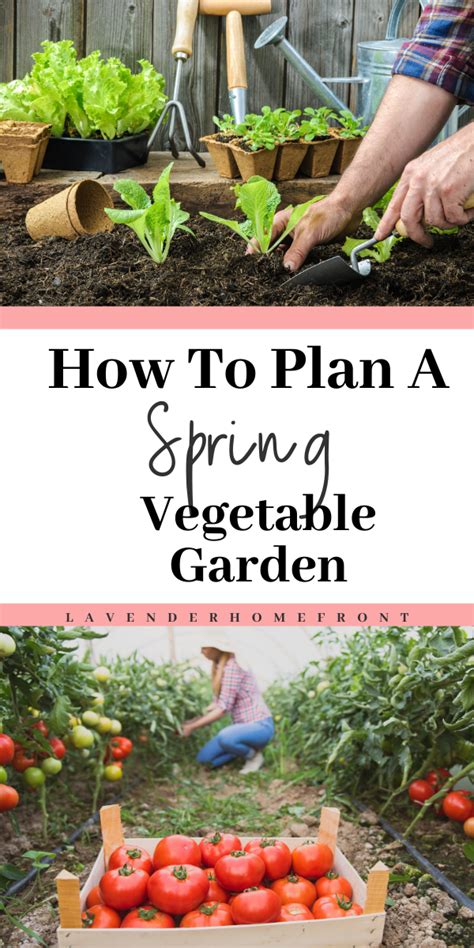 How To Plan A Spring Vegetable Garden Spring Vegetable Garden