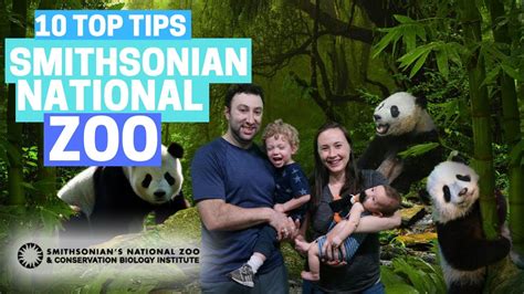 10 Tips For Visiting The Smithsonian National Zoo Youtube
