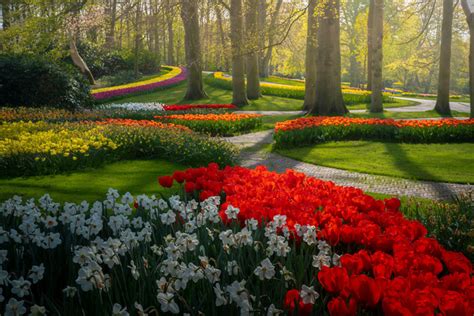 Vườn Hoa đẹp Nhất Thế Giới đóng Cửa Sau 71 Năm Nhiếp ảnh Gia Tò Mò