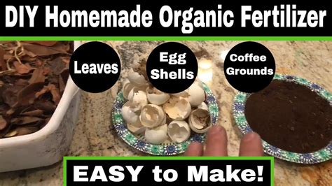 Easy Diy Homemade Organic Garden Fertilizer Youcooktonight