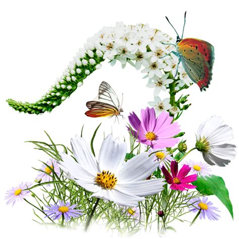Free Free 157 Transparent Wildflower Svg Free SVG PNG EPS DXF File