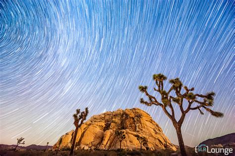 Joshua Tree Star Trail Photo How We Shot It