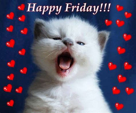 May your coffee be strong and your friday short. Happy Friday Cat friday happy friday tgif friday quotes ...