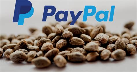 The Best Seed Banks That Accept Paypal Cannabis Seeds Updated 2023