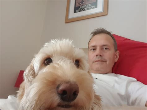 Buddy And Me Chilling Out On My Bed Watching Tv He Is My Partners Dog