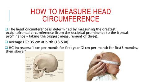 On average, a man's hat size will be approximately 59 centimeters, while a woman's average hat size will be 57 centimeters. CHSP Trends In Healthcare - Churchill High School Health ...