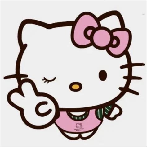pin by ﾐㅇ ༝ ㅇﾐ on home screen inspiration┆ ٭˙ in 2022 melody hello kitty hello kitty book