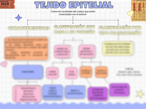 Solution Mapa Conceptual Tejido Epitelial Cmap Studypool Porn Sex Picture