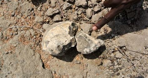 À Berrechid, des restes d'ossements humains ont été ...