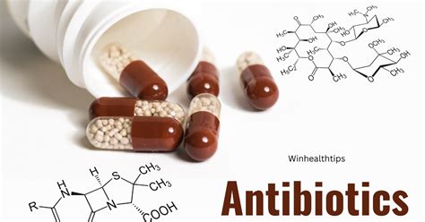What Is The Best Antibiotic To Treat Proteus Mirabilis7 Way