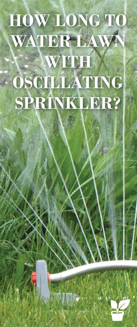 Maybe you would like to learn more about one of these? how long to water lawn with oscillating sprinkler? - lawn tips! | Oscillating sprinkler ...