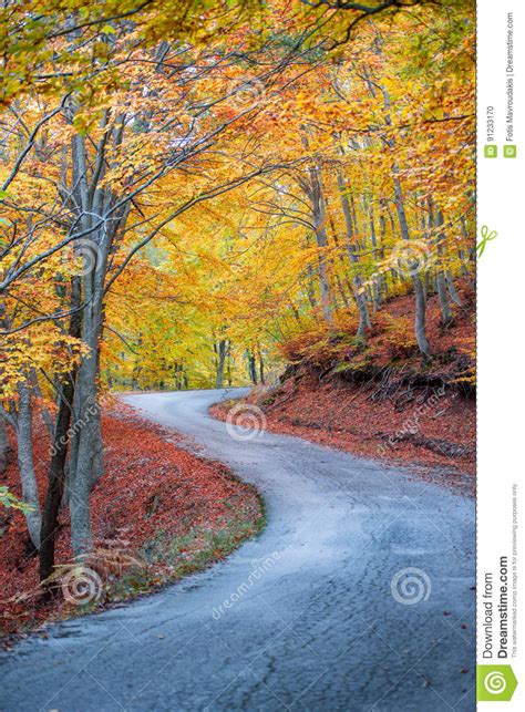 Twisty Autumn Road Stock Photo Image Of Landscape Forest 91233170