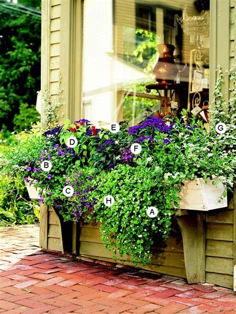 The alarm is also extremely easy to use. Easy, Beautiful Window Boxes for Sun | Interior Ideas ...