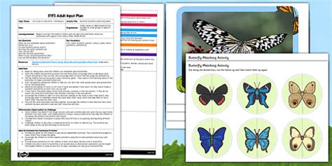 Butterfly Symmetry Matching Eyfs Adult Input Plan And Resource Pack