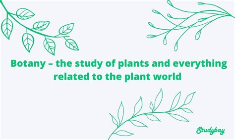 What Is Botany ☘ Meaning Of Botany In Science And As Career Path