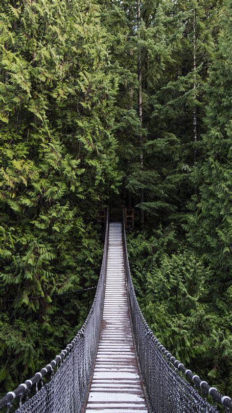 Capilano Suspension Bridge In Evergreen Forest Vancouver Landscape