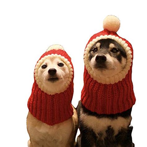 Top 10 Dog Hats With Ear Holes Of 2022 Best Reviews Guide