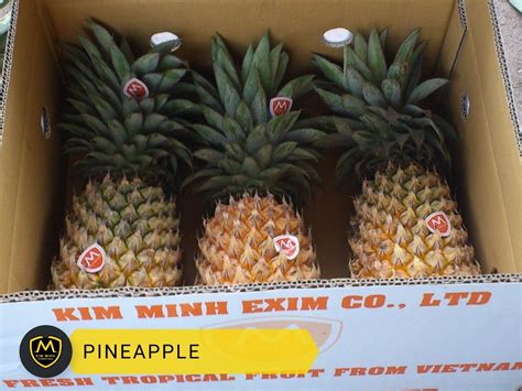 Pineapple Puree Kim Minh International 2024