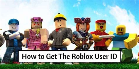 How To Get The Roblox User Id And What You Should Know