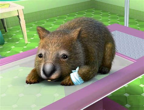 Our team of doctors and staff at highlands animal hospital strives to work with you, the pet owner, to provide exceptional care and service. Pet Vet 3D Animal Hospital Down Under Review - Gaming Nexus