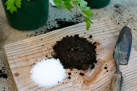 Fortunately, coffee grounds and leftover coffee have so many household uses—plus, why waste daily grounds? How to Add Epsom Salt & Coffee Grounds to Potting Soil ...