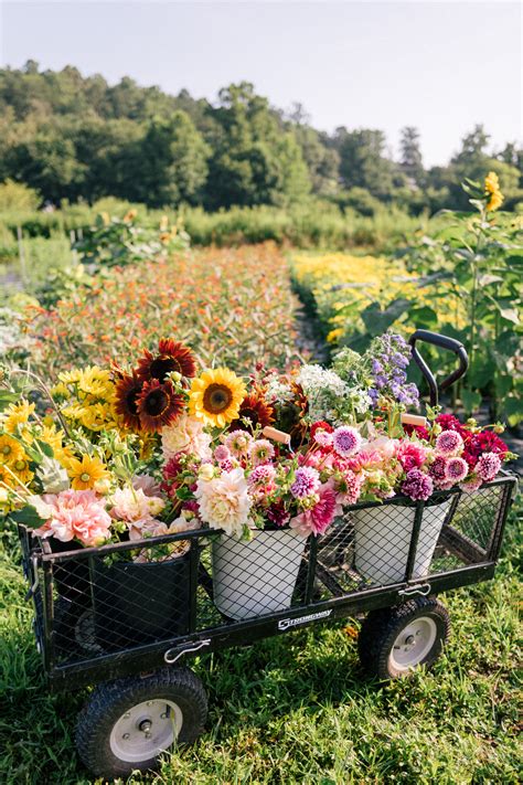 This Flower Farm Will Make You Want To Become A Flower Farmer Gal
