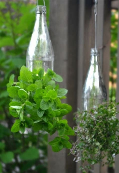 40 Brilliant Plastic Bottle Garden Ideas