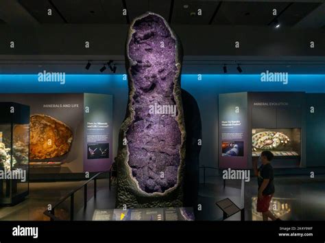 American Museum Of Natural History In Manhattan Nyc Stock Photo Alamy
