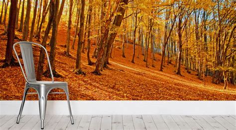 Hovia Blog Discover New Wallpaper Trends And Ideas Forest Mural