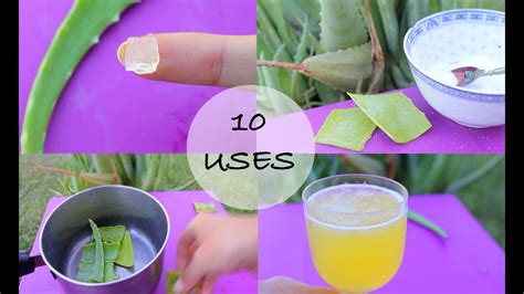 10 Ways I Use Aloe Vera Love This Stuff Youtube