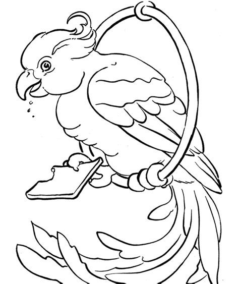 Chick, cow, dog, duck, giraffe, goat, hippo, horse, monkey, penguin, pig, rabbit, sheep, tiger, turtle. Parrots coloring pages to download and print for free
