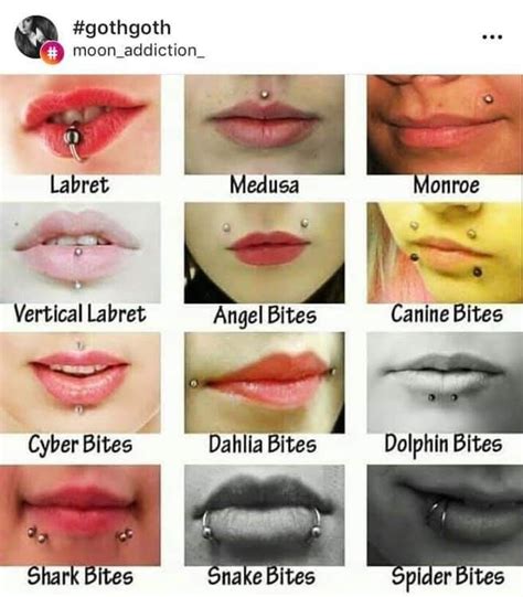 Many Different Types Of Lips With Piercings On Each Lip And The Names Of Them