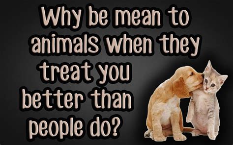 Pin By Cheryl Spiva On Animals I Love Animal Lover Quotes Stop