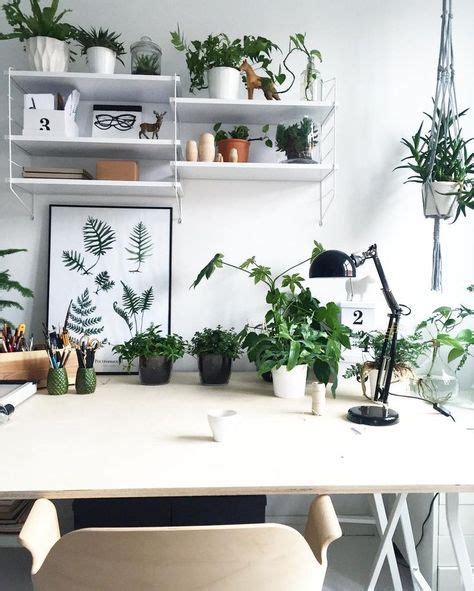 Office Desk Decoration Ideas With Plants Internet Hassuttelia