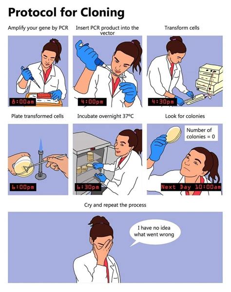 Lab Test Memes