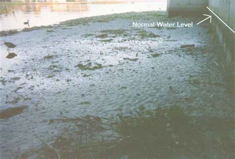 Lake Level Drop Of February 1998
