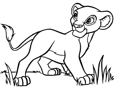 Baby Lion Coloring Pages - Animal Place