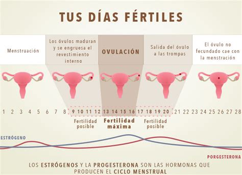 Tus Días Fértiles Infogen