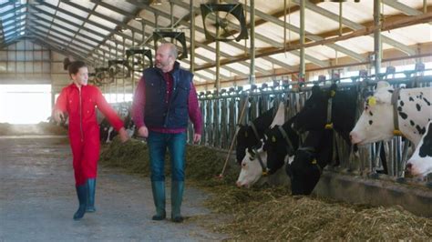 Five Tips To Increase Labor Efficiency On Your Dairy Farm Nedap